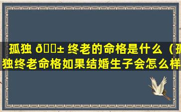 孤独 🐱 终老的命格是什么（孤独终老命格如果结婚生子会怎么样）